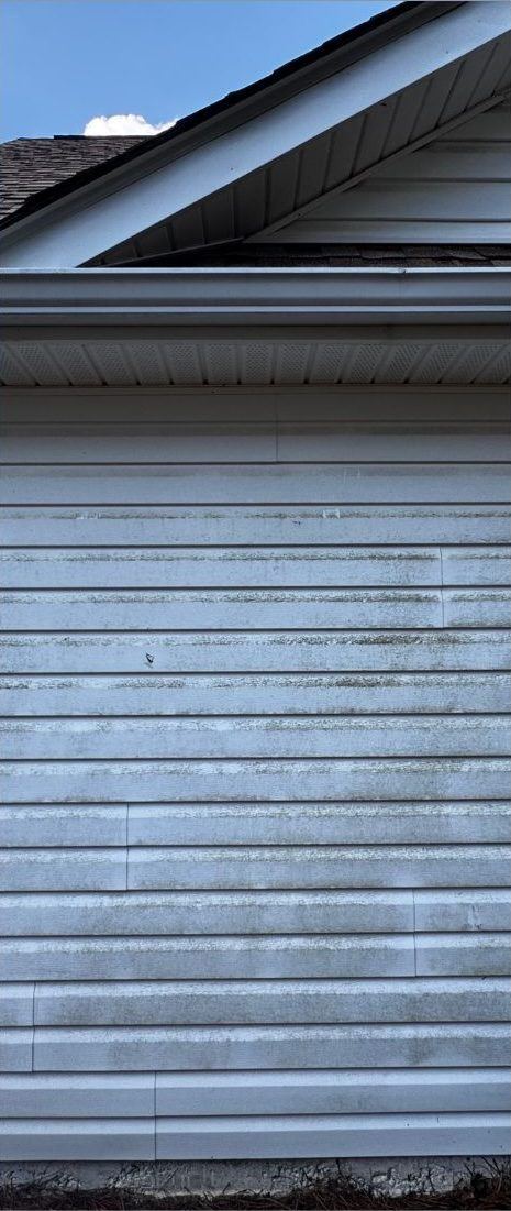 White vinyl siding covered in green algae streaks and mildew before soft washing